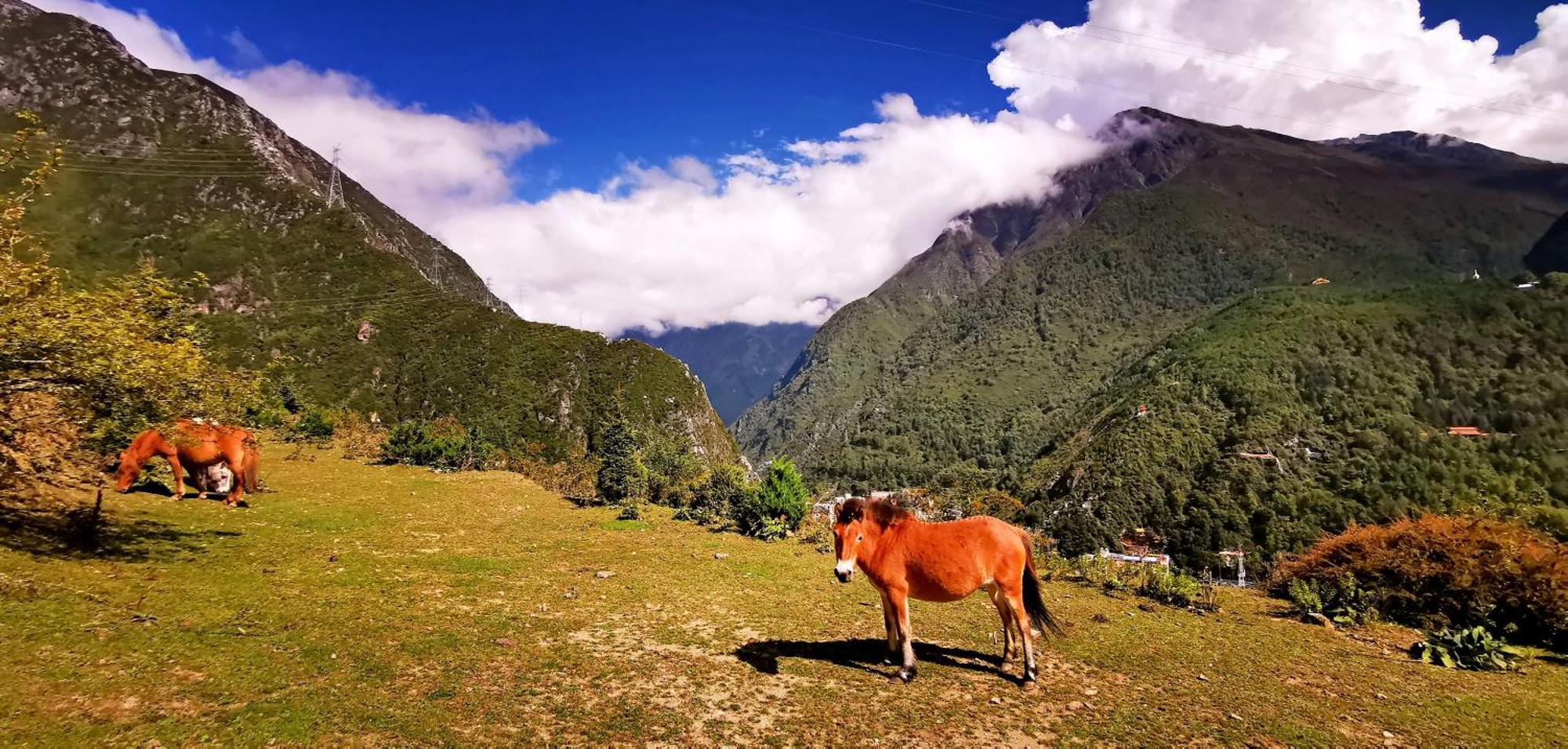 Kangding Guozhuang Nan Wu Hao Boutique Inn Luaran gambar